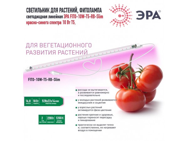 Светильник 220V 10W для растений красно-син 528мм фито