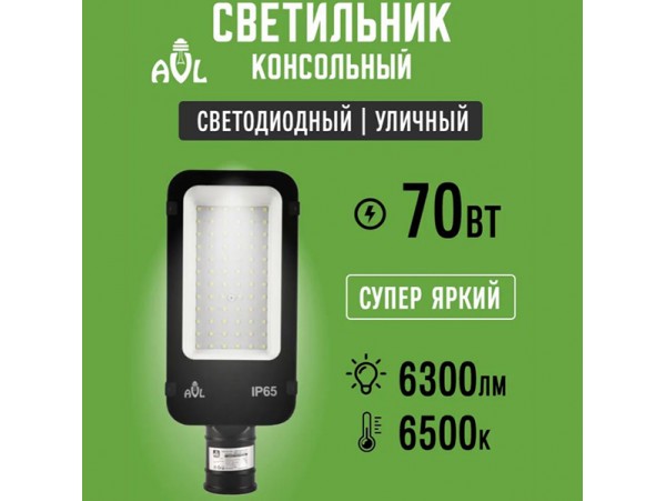 Светильник уличный LED 70W  IP65 6500К 290x118x68