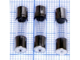Пред.2А(d=5;L=20) 250V F стекло