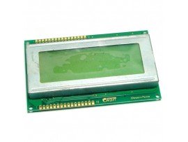 MT-20S4A-2YLG Инд. LCD