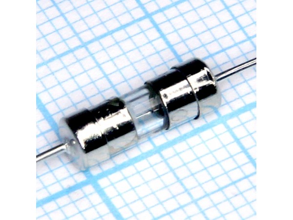 Пред.5А(d=4;L=11) стекл. с выводами Пред.5А(d=4;L=11) стекл. с выводами
