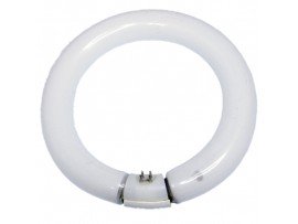 Лампа 22W G10q T9 4000K(840) кольцевая d=208мм