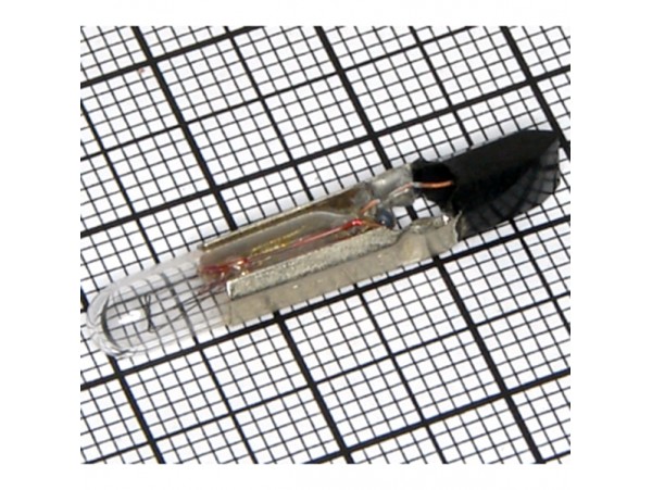 Лампа 30V 40mA T5,5 L=30мм (012540)