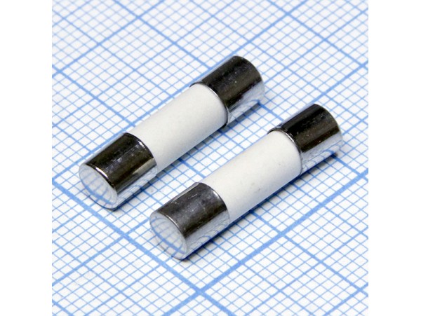 Пред.10А(d=5;L=20) ВП2Б-1В керам. аналог