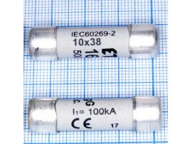 Пред.16А (d=10;L=38) СН-10