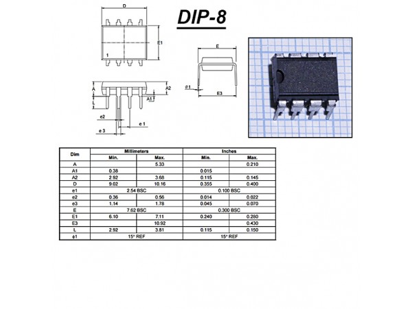 MCP6021-I/P
