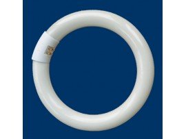 Лампа 22W G10q T5-внутрь 4000K(840) кольцевая d=305мм