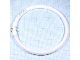 Лампа 22W 2GX13 4000K(840) кольцевая Osram