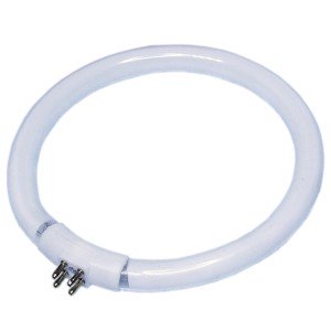 Лампа 12W G10q T4-наружу 6400K кольцевая d=137мм