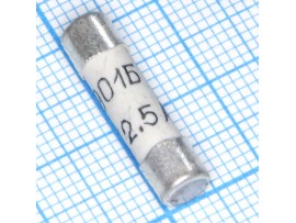 Пред.2,5А(d=5;L=20) 250V керамика