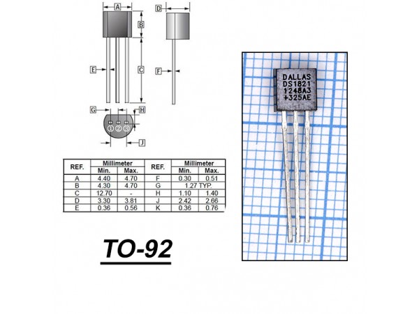 DS1821C + Датчик термо